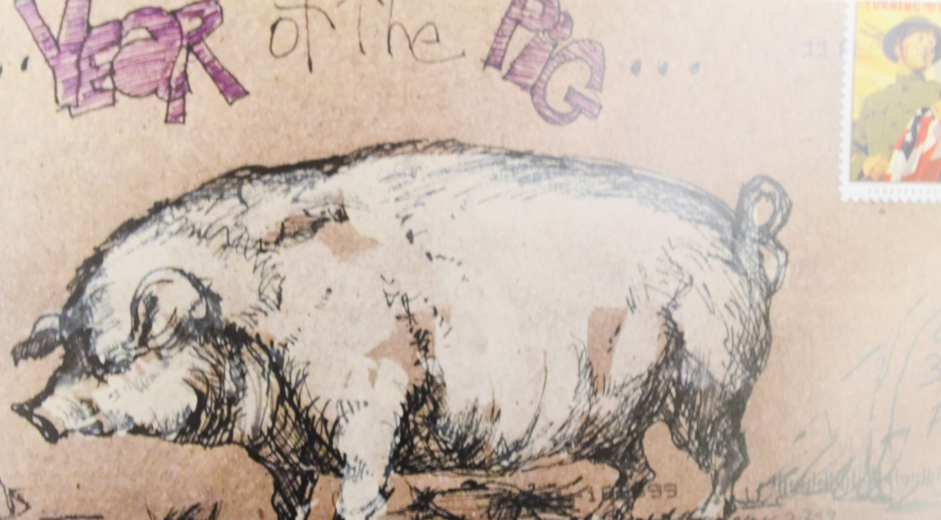 FOCUS: Year of the Pig